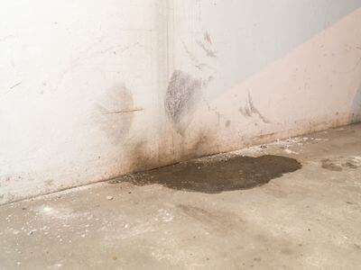 Professional mold removal pineville nc services in Pineville